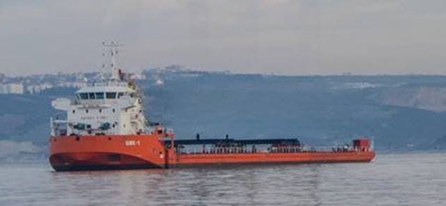 Self Propelled Pontoon Ship with DP